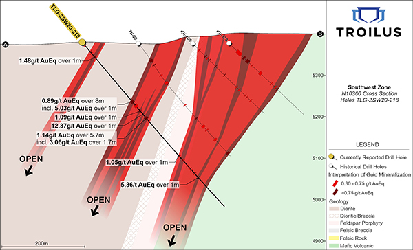 Figure 3 :  Section N10300; vue du puits de forage TLG-ZSW20-218